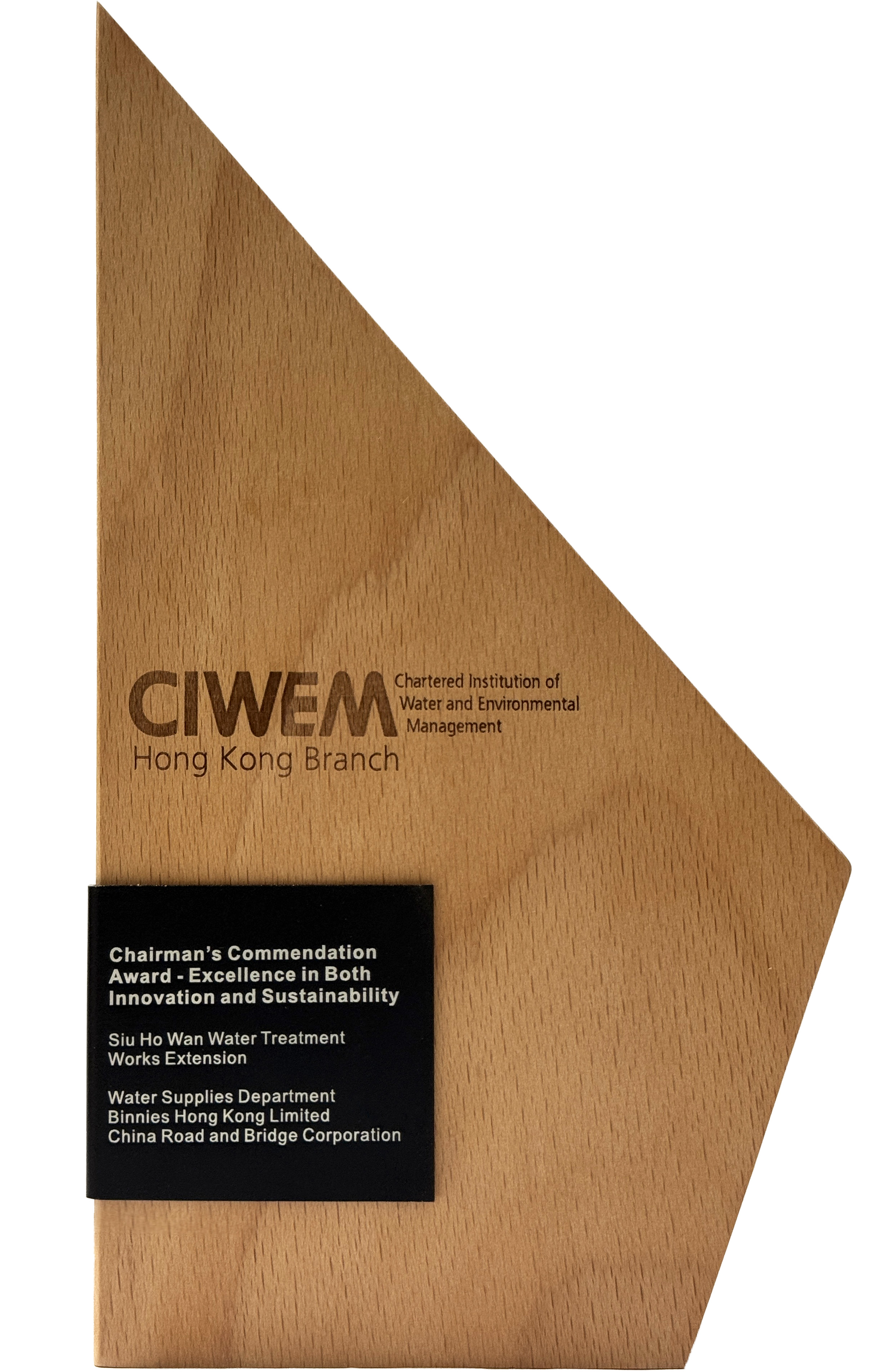 Chairman's Commendation Award - Excellence in both Innovation and Sustainability by CIWEM