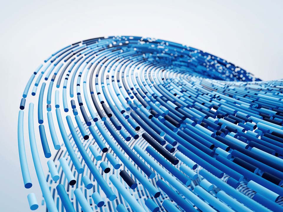 Innovation and Digitalisation